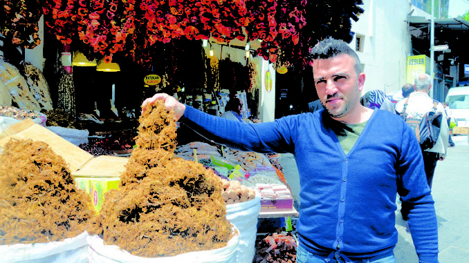 Ahmet Taşcı