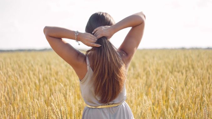 beautiful woman with healthy long hair back to the camera on rye field