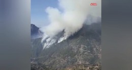 Osmaniye-Kahramanmaraş sınırında orman yangını