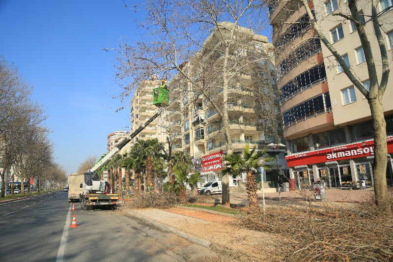 KAHRAMANMARAŞ BAHARA HAZIRLANIYOR