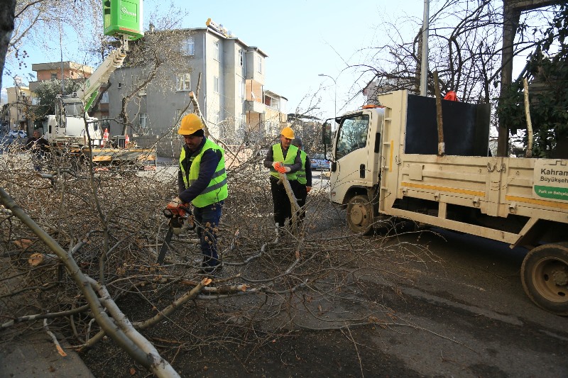 BÜYÜKŞEHİR’DEN BAHAR HAZIRLIĞI