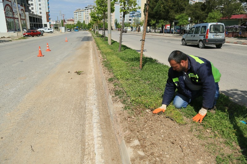 BAHAR ÇALIŞMALARI HIZLANDI