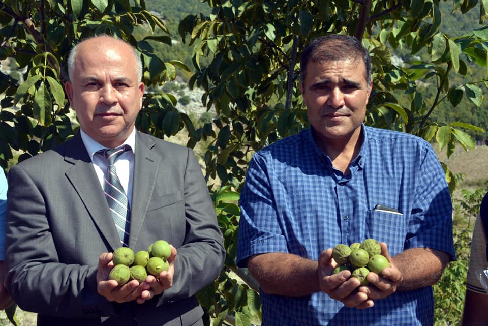 ORMAN SAHASI, KÖYLÜLERİN GELİR KAPISI OLDU