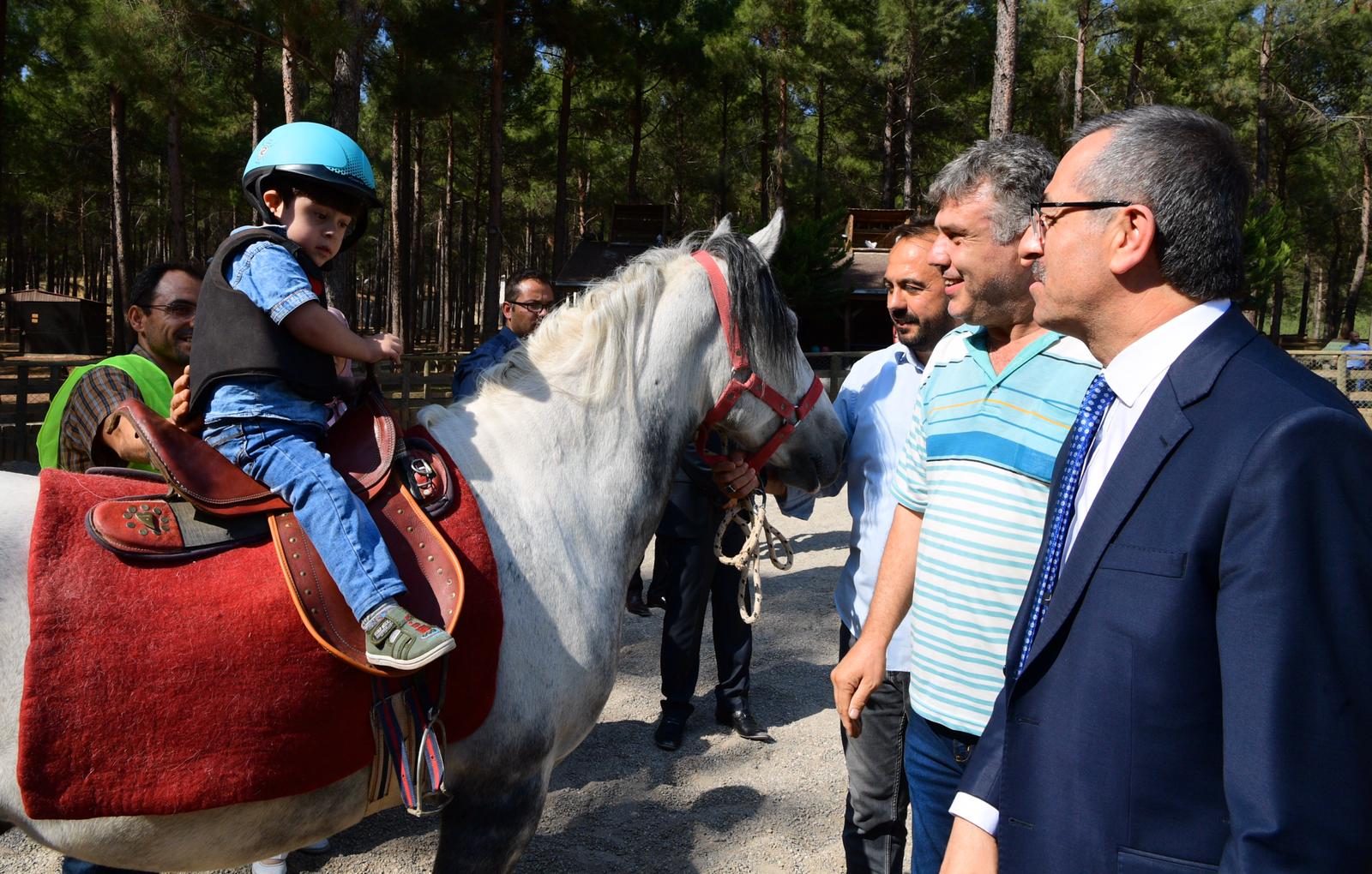 Atla Tedavi uygulaması başladı