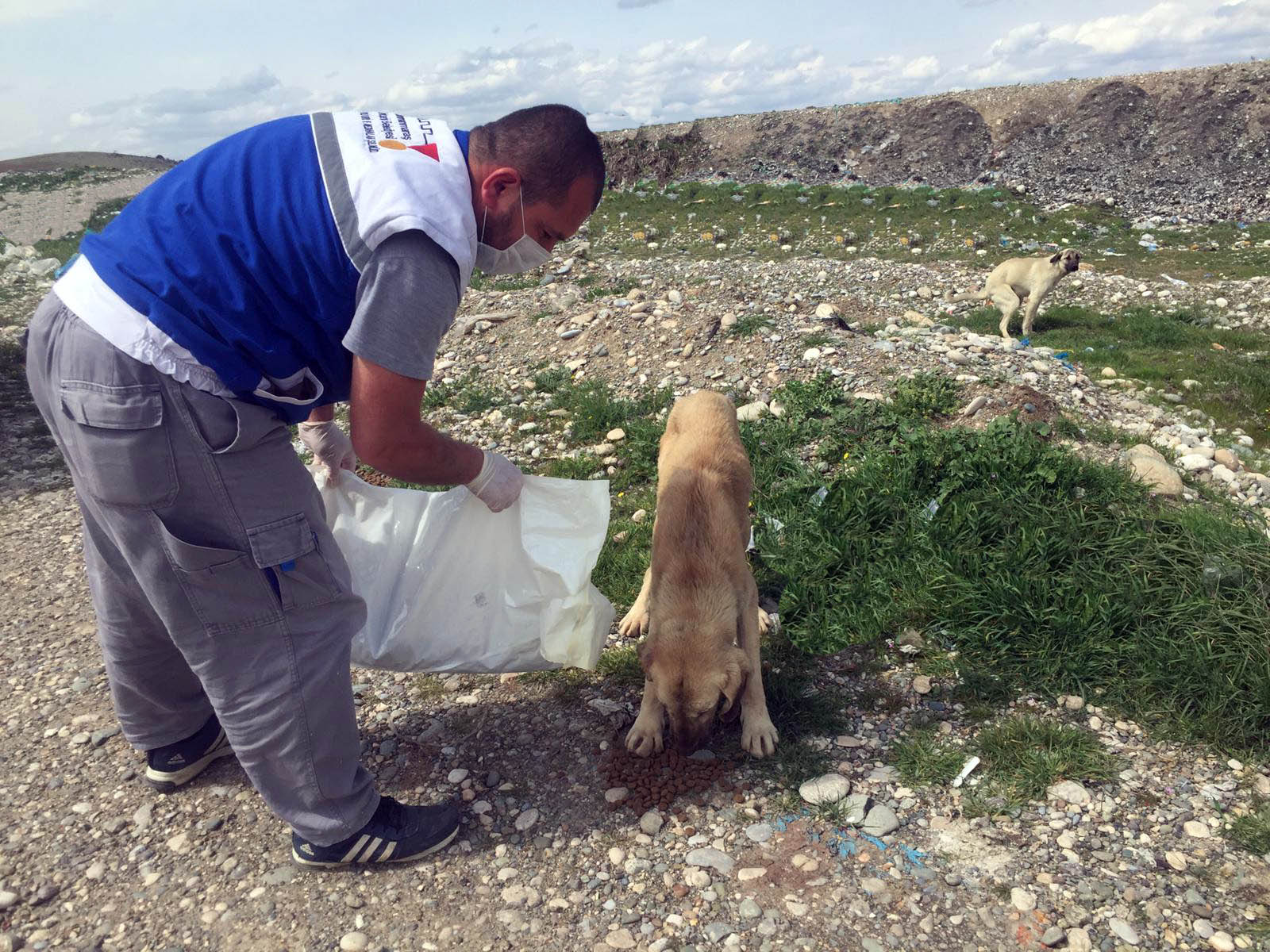 Büyükşehir Sokak Hayvanlarını Unutmadı