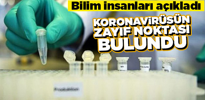 Koronavirüsün zayıf noktası bulundu