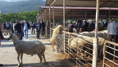 YERLER BELİRLENDİ, SADECE ZAMANI KALDI