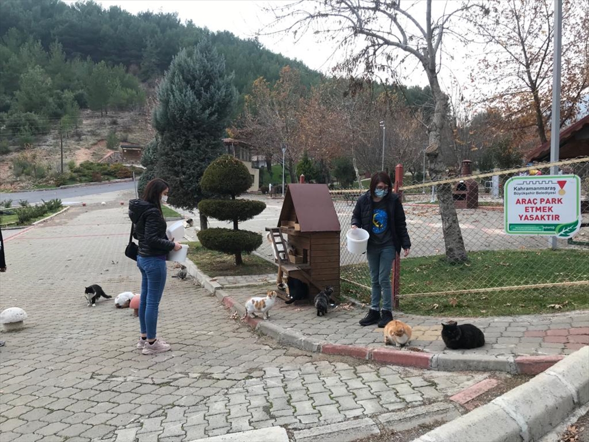 KAHRAMANMARAŞ’TA SOKAK HAYVANLARI UNUTULMADI