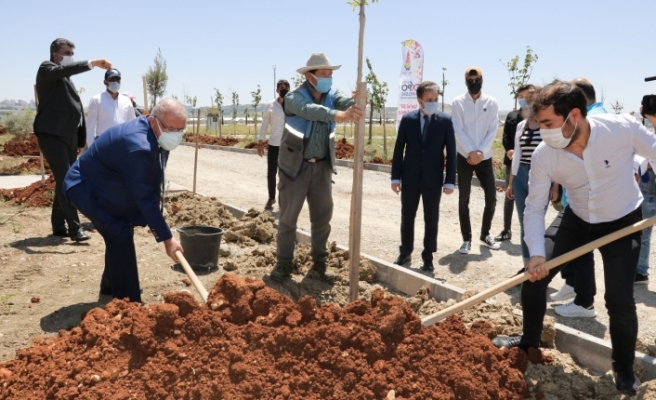 Başkan Mahçiçek: “Expo yenileme alanında herkesin bir dikili ağacı olacak”