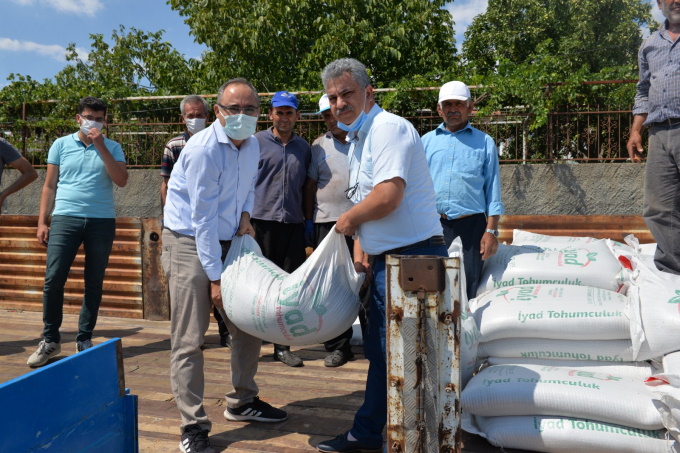 Dulkadiroğlu İlçesinde Kırmızı Mercimek Tohumu Dağıtımı Gerçekleştirildi