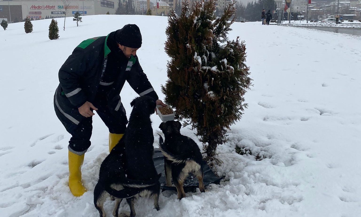 Büyükşehir’den Sokak Hayvanları İçin 1 Ton Mama