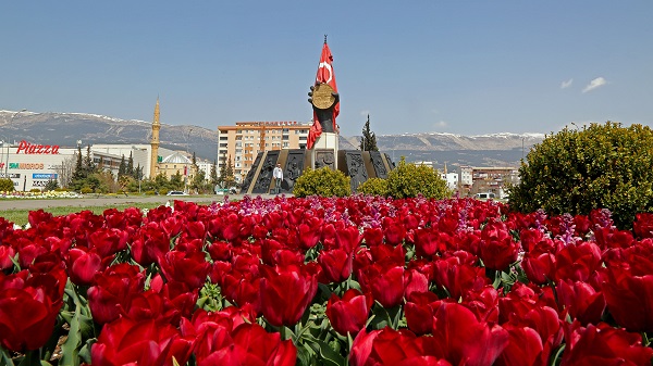 Şehir Çiçeklerle Renklendi