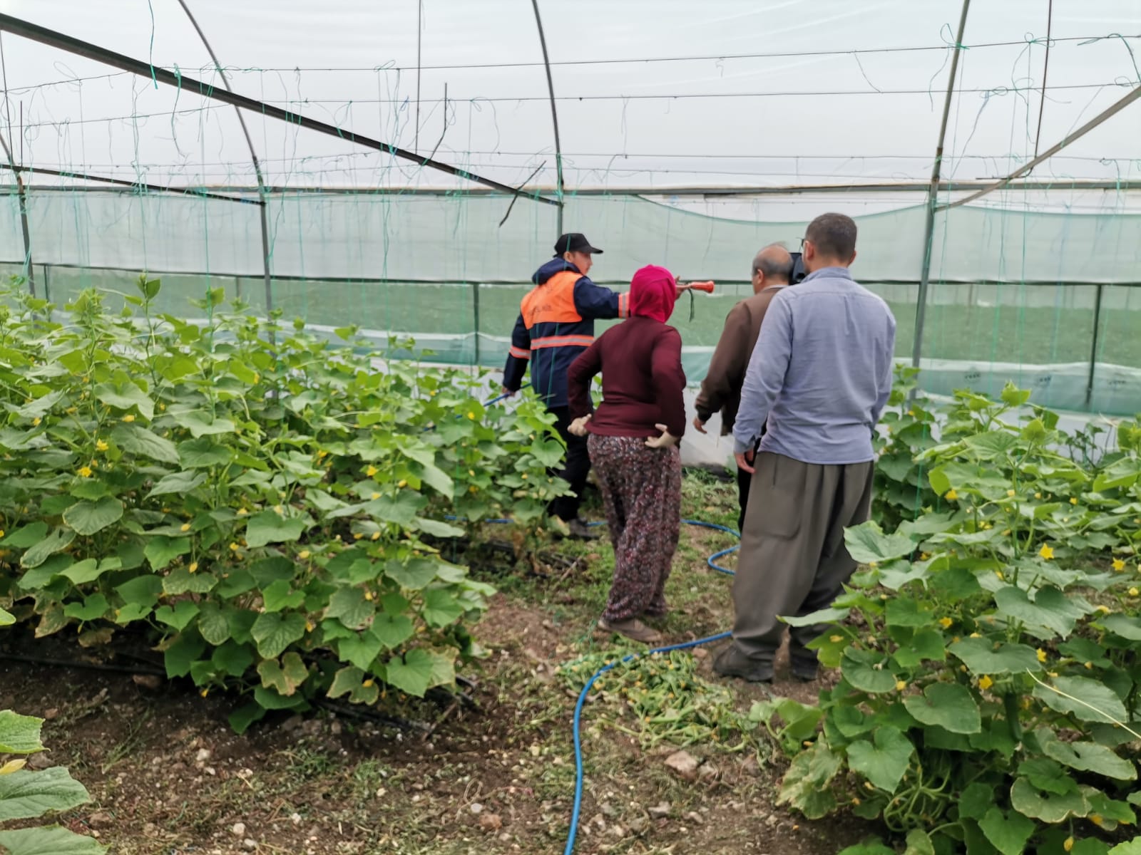 Kahramanmaraş’ta  seraları zarar gören çiftçilere 18 milyon destek