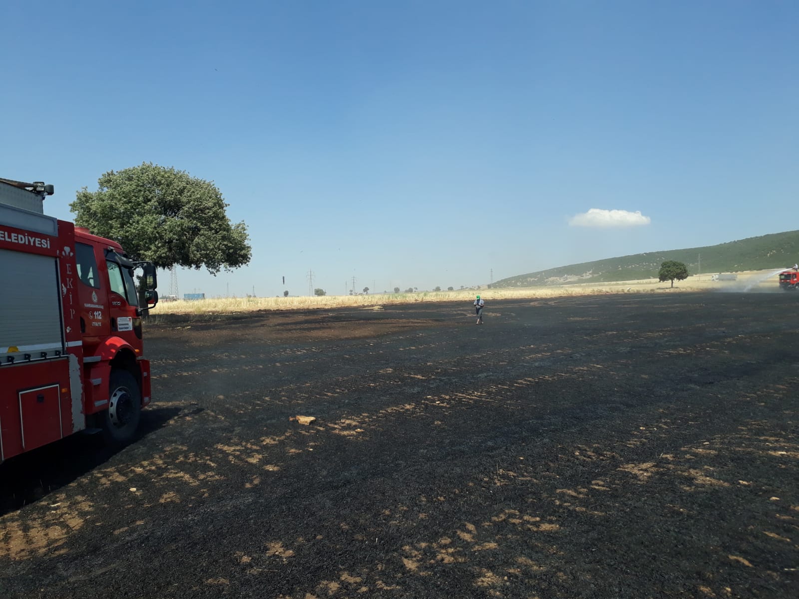 Kahramanmaraş’ta buğday tarlası kül oldu