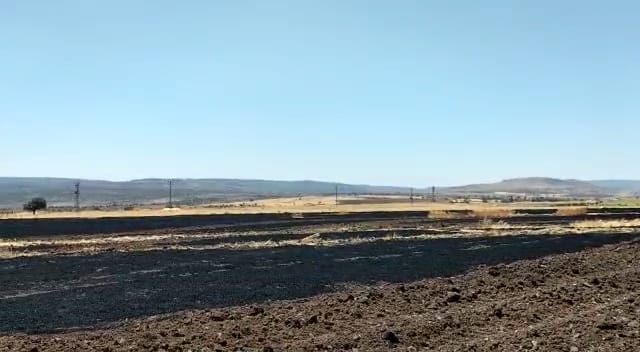 Kahramanmaraş’ta 8 dönüm buğday tarlası yandı