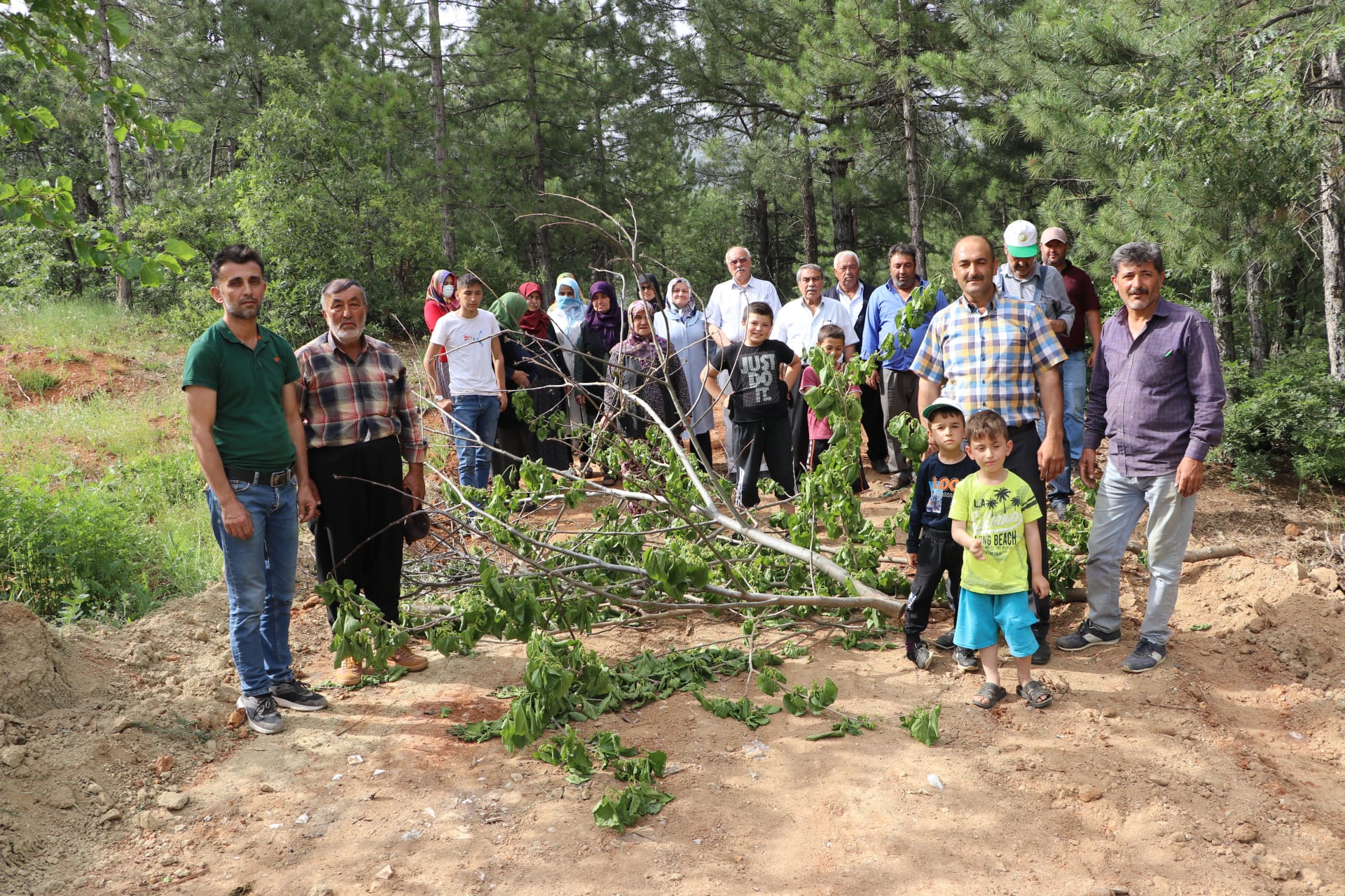 Kahramanmaraş’ta orman yolu mahalleyi karıştırdı