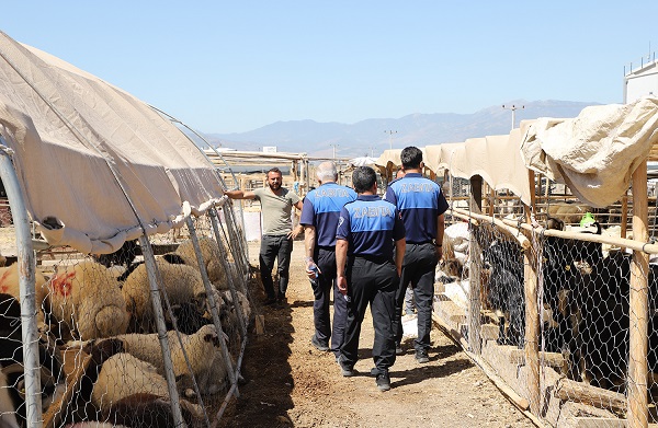 Zabıta ekiplerinden Kurban satış yerlerinde denetim