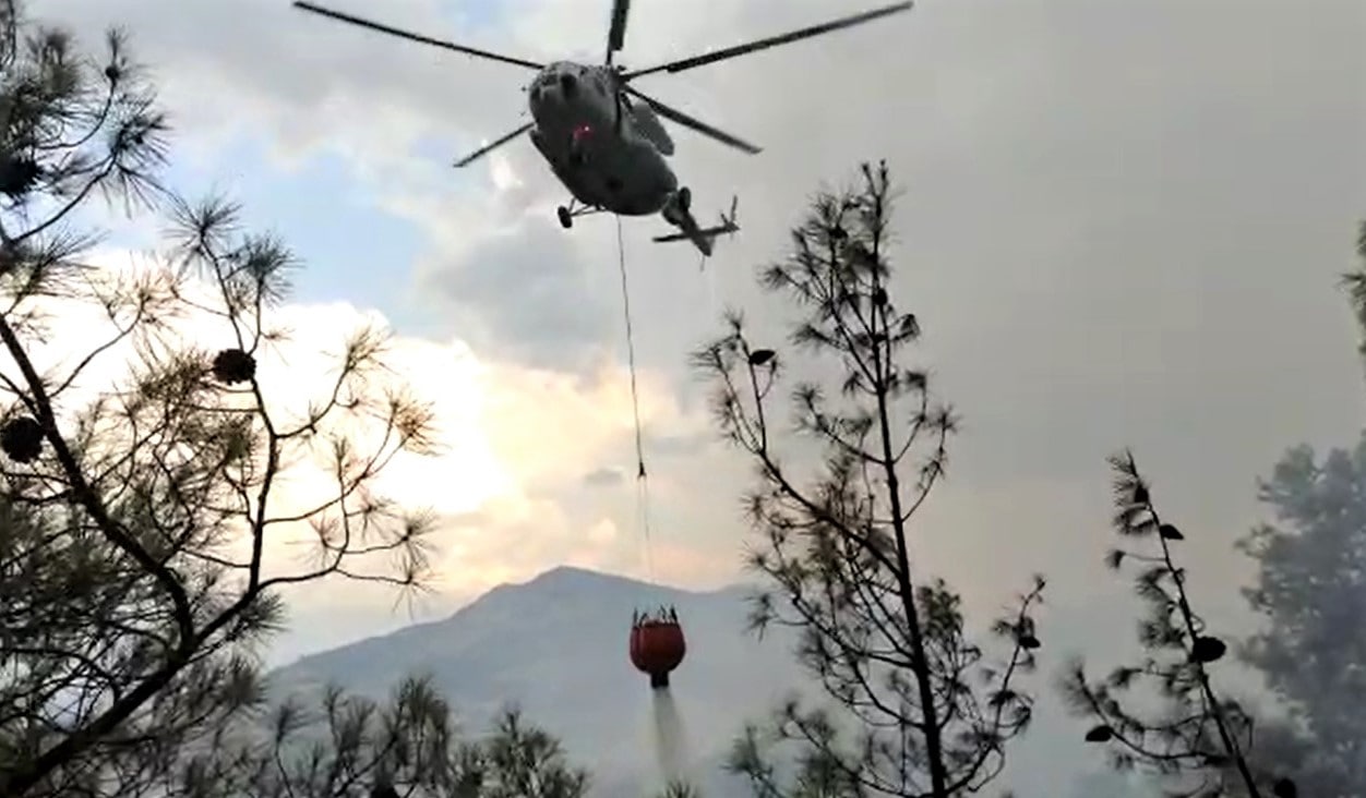 Kahramanmaraş’ta orman yangını