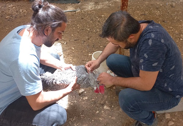 Dulkadiroğlu Mini Hayvanat Bahçesinde Bakım Çalışması Yapıldı