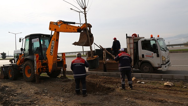 Büyükşehir 10 Bin Ağacı Toprakla Buluşturdu