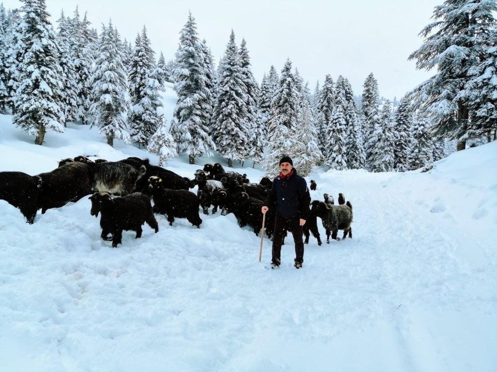 Göksun, Çağlayancerit ve Nurhak Kara teslim