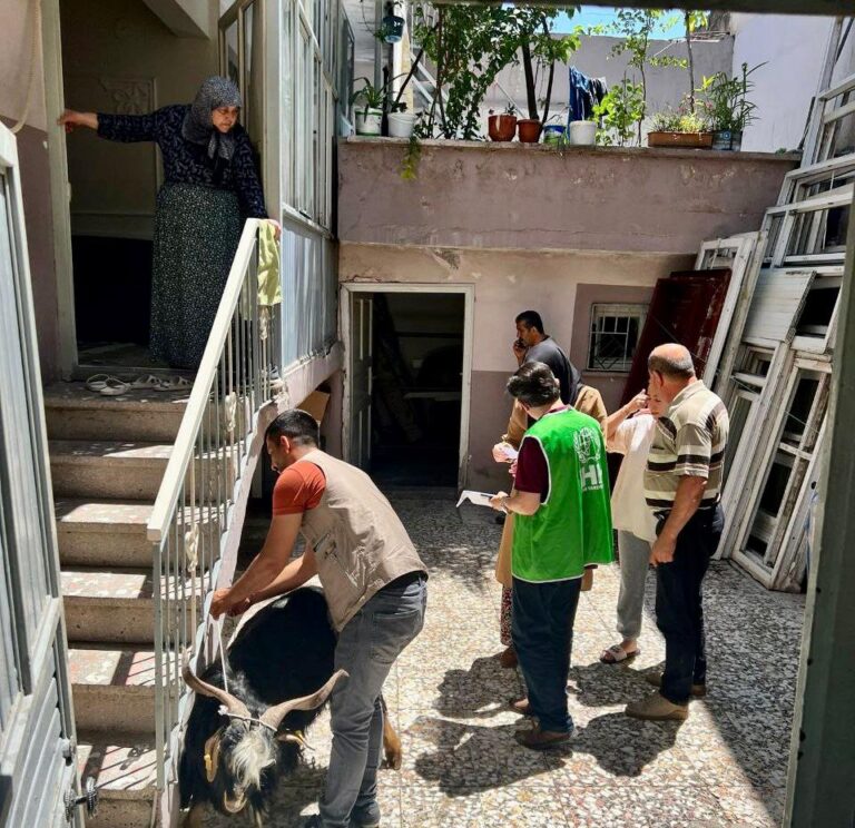 İHH’dan depremde yetim kalan ailelere canlı kurban bağışı