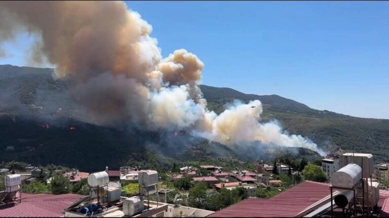 Orman yangınlarının yüzde 89’u insan kaynaklı
