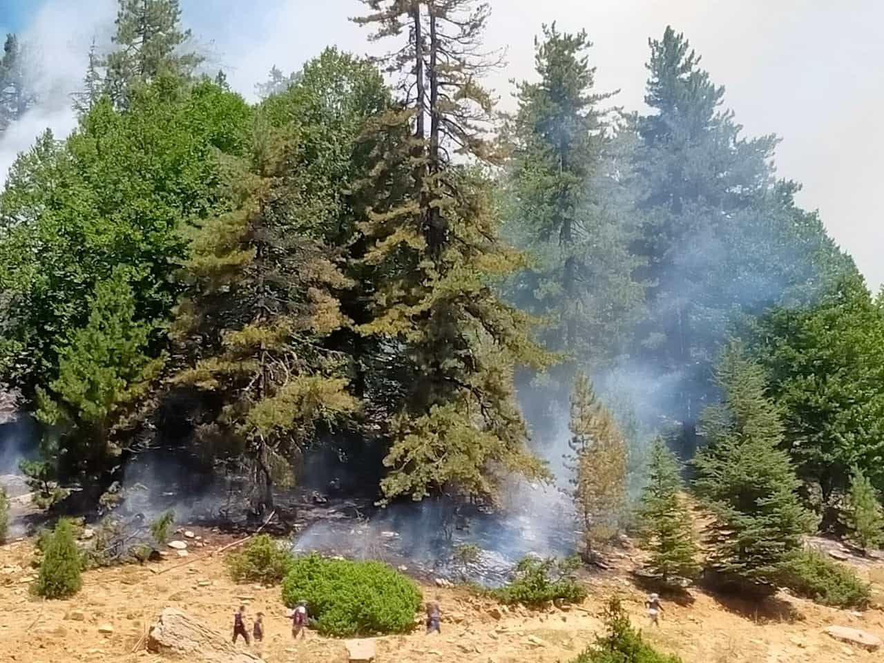 Kahramanmaraş’ta Orman Yangını