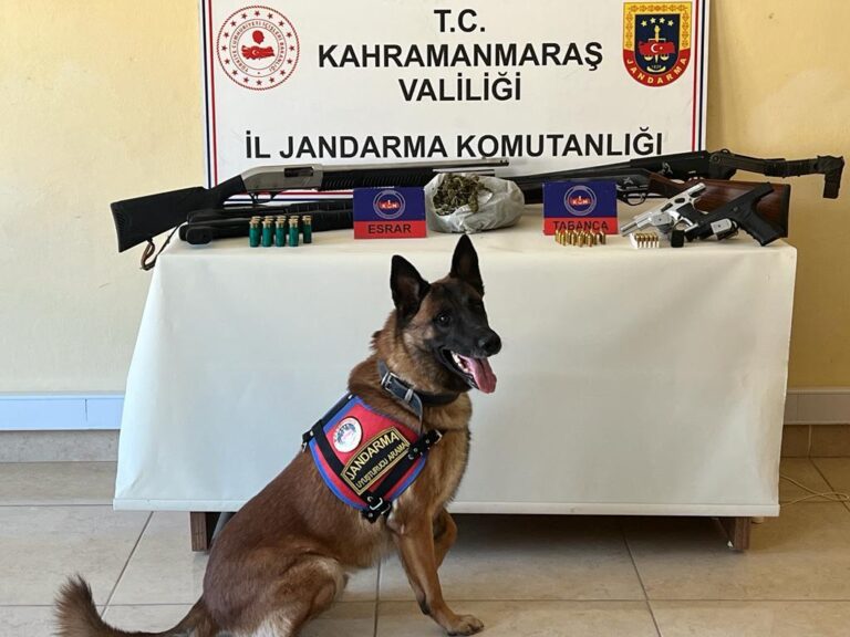 Trafik kazası sonrası polis ekiplerine ateş açtılar