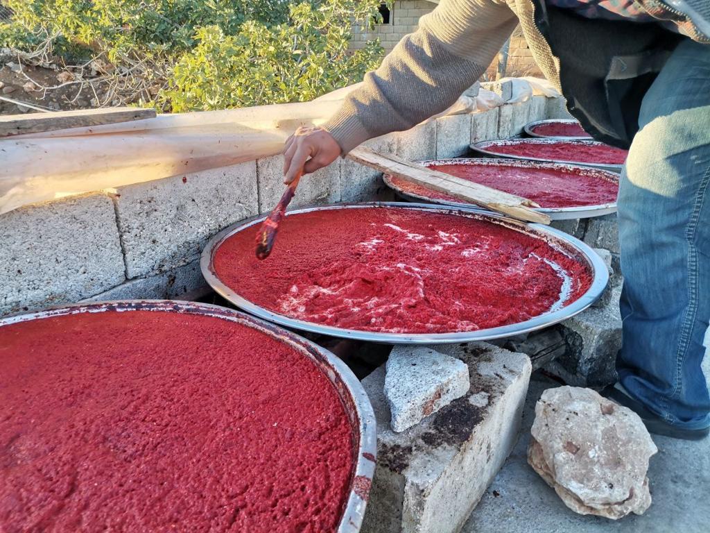 Kahramanmaraş’ta salça mesaisi