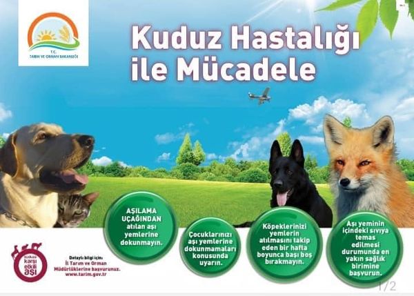 Türkiye, Kuduz Hastalığına karşı büyük bir Aşı kampanyası başlatıyor