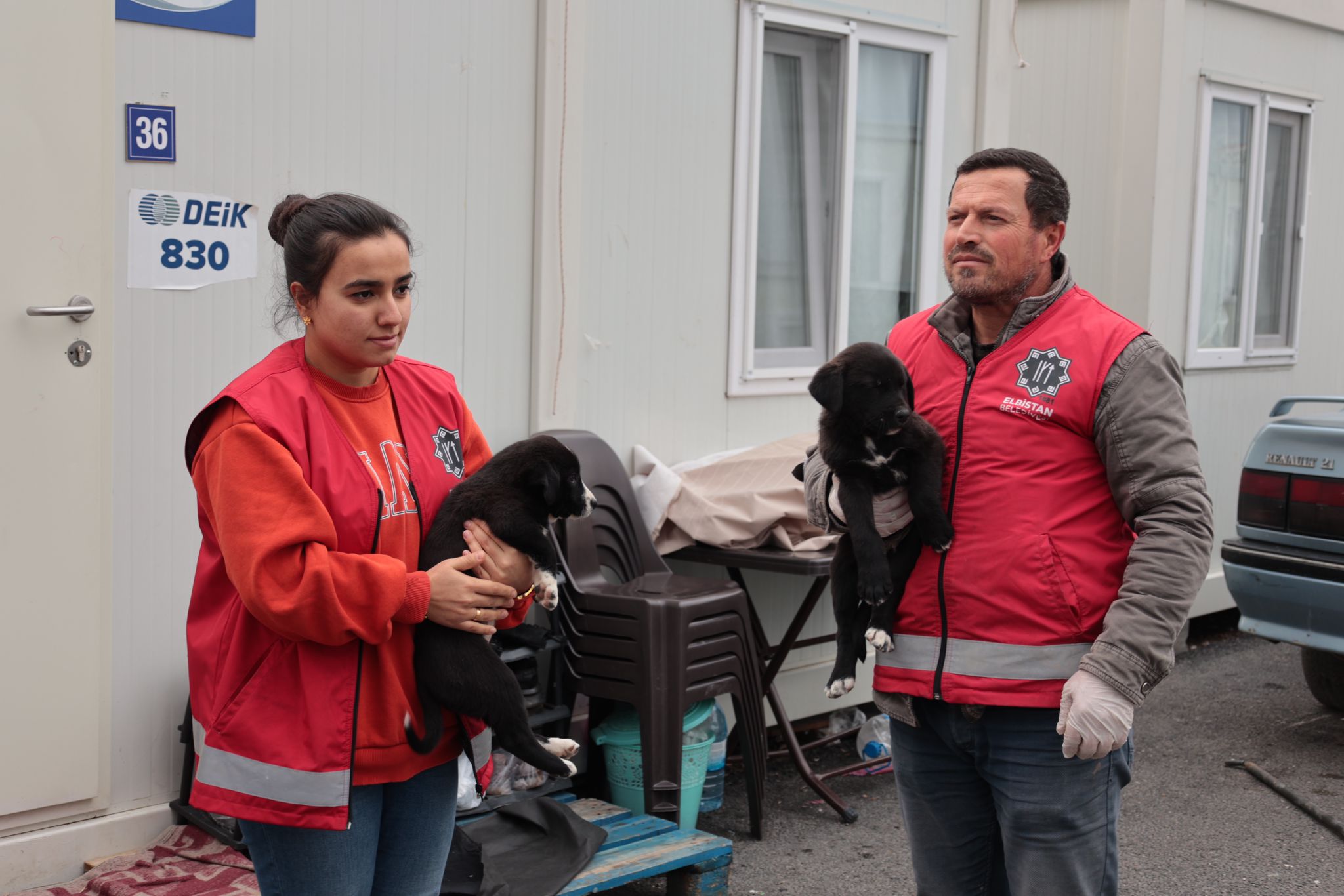 Elbistan Belediyesi Sokak Hayvanlarına sahip çıkıyor
