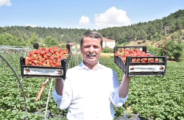 Başkan Okumuş;”Bizim buralara yağmur yağdığı zaman, “BEREKET” yağdı denir