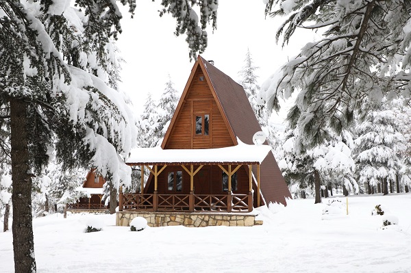 YALNIZ ARDIÇ BUNGALOV EVLER MİSAFİRLERİNİ BEKLİYOR