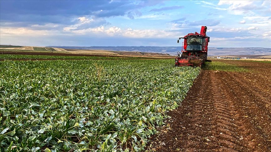 Aman Dikkat! Yarın Son Gün…