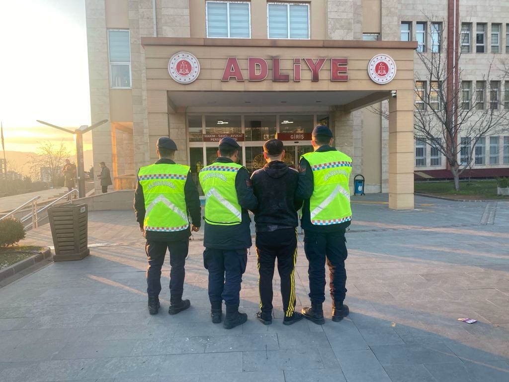 Atı sopayla döven şahıs tutuklandı