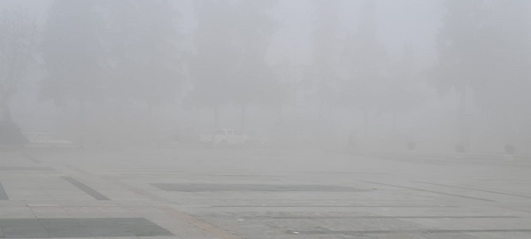 Kahramanmaraş’ta Sis Hayatı Esir Aldı…  Kaza Yapmamak İçin Neler Yapılmalı?