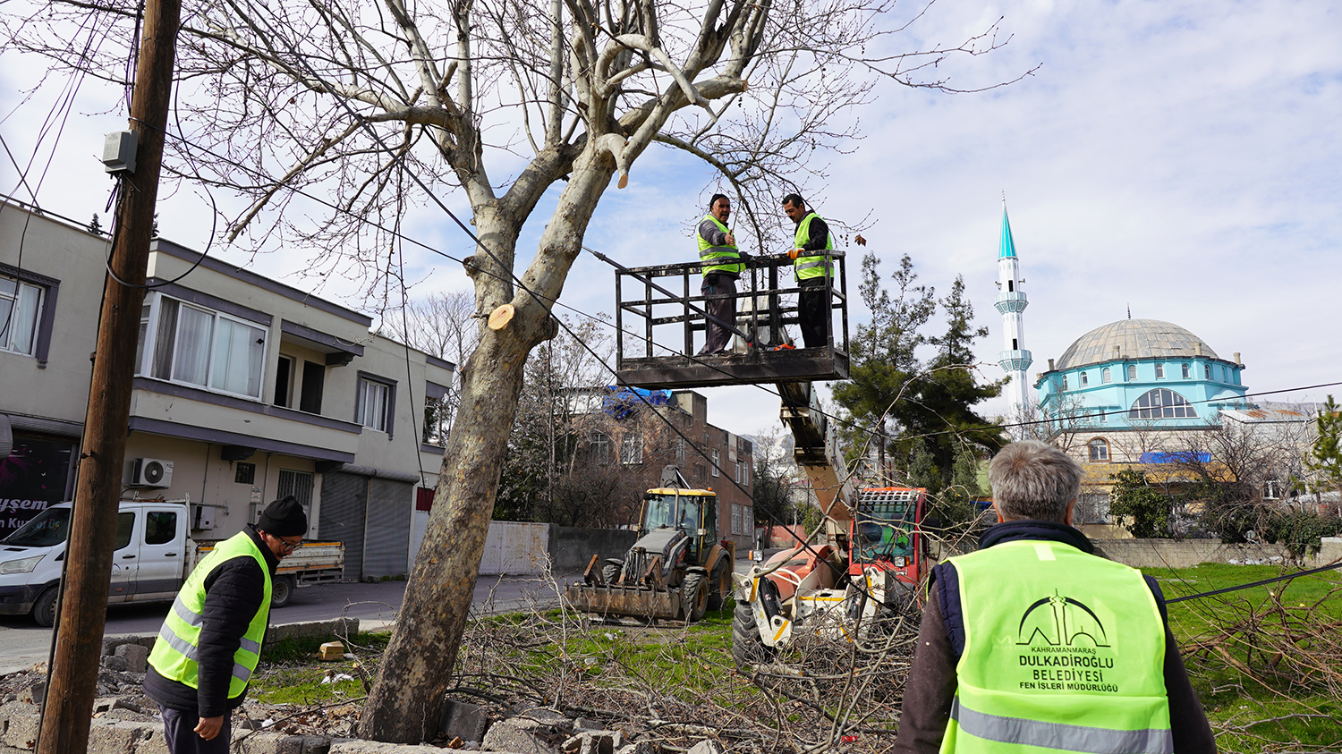 Dulkadiroğlu’nda budanan Ağaçlar Sosyal Yardıma dönüşüyor