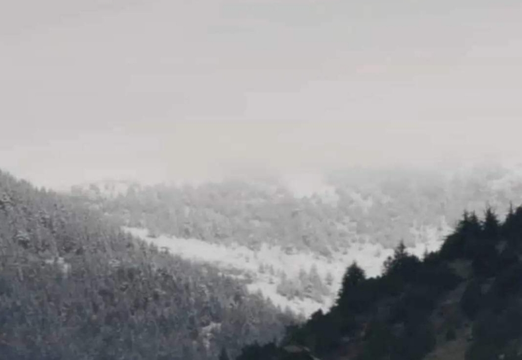 Kahramanmaraş’ta Bu da Oldu!