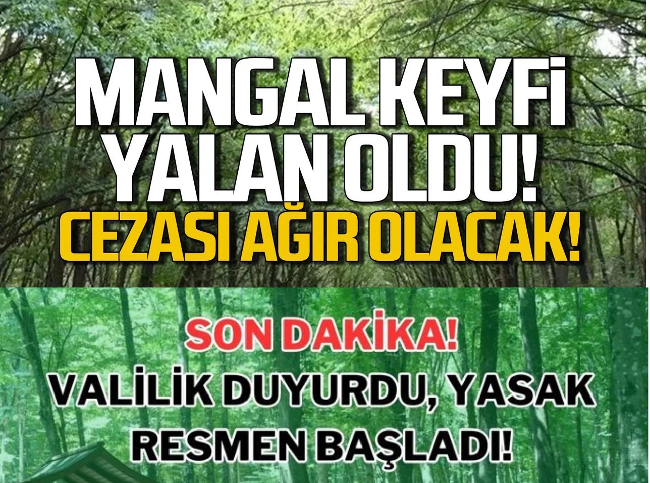 Kahramanmaraş’ta ormanlık alanlara girişler yasaklandı