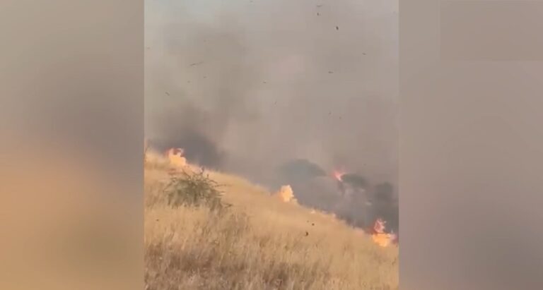 Dulkadiroğlu’nda  orman yangını