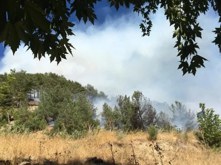 Fırnız’da orman yangını
