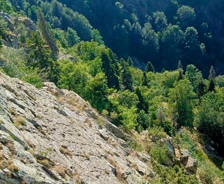 Kahramanmaraş’ta uçuruma düşen bir kişi aranıyor