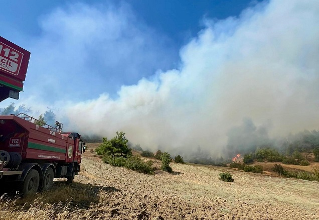 Kahramanmaraş’ta orman yangını