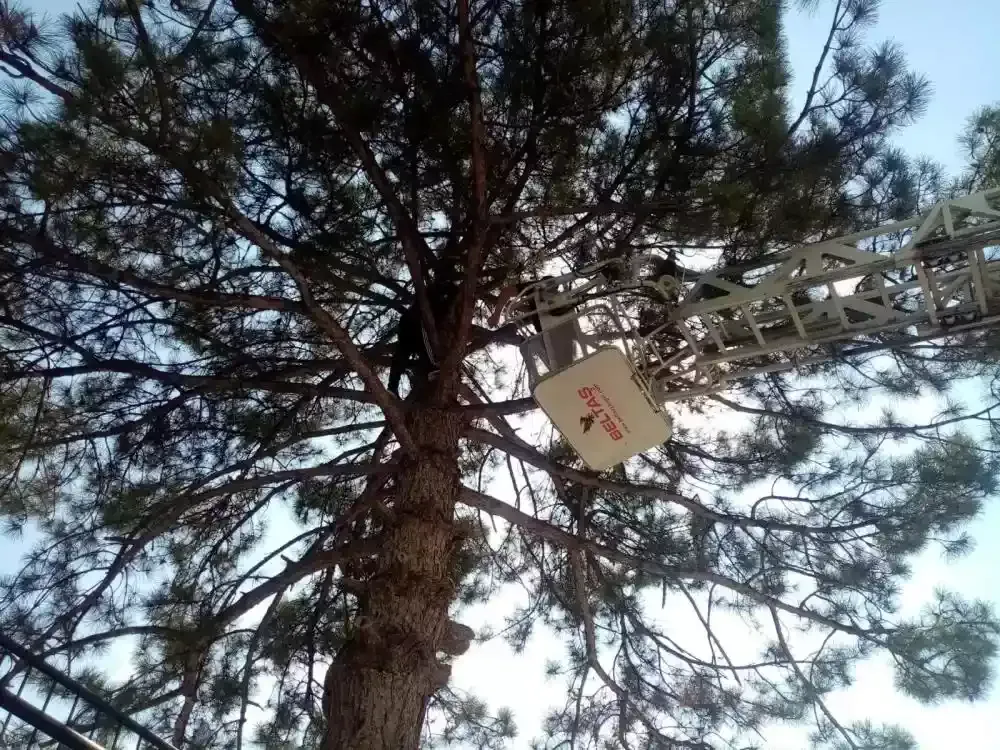 Topu kurtardı kendisini kurtaramadı