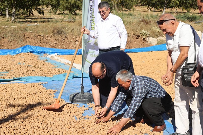 Kahramanmaraş’ta coğrafi tescilli ceviz ihracatı başladı