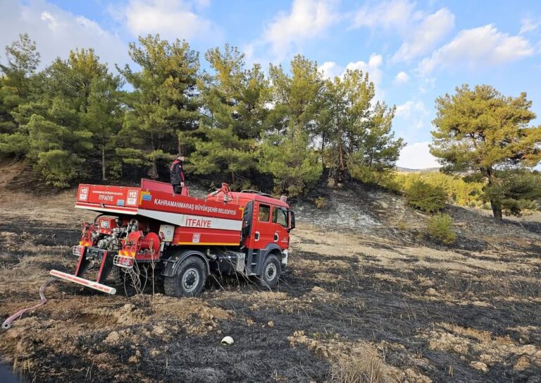 Kahramanmaraş’ta orman yangını