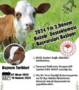 Besicilere Müjde! Kuzu/Oğlak ve Buzağı Desteği başladı