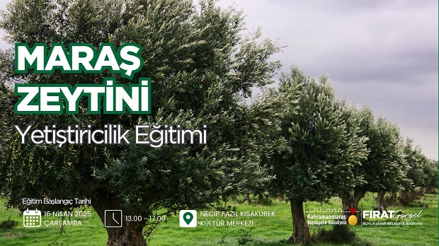 Büyükşehir’den Zeytin Üretimine Katma Değer