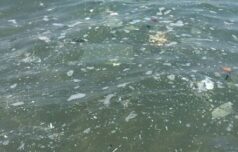 Kahramanmaraş dikkat! Mersin’de deniz kirliliği üst düzeyde